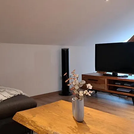 شقة Modernes Loft Mit Dachterrasse Und Parkplatz *